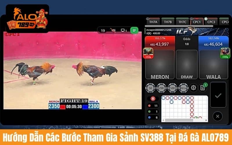 Hướng dẫn các bước tham gia sảnh đá gà SV388 tại đá gà ALO789 Hướng dẫn các bước tham gia sảnh đá gà SV388 tại đá gà ALO789