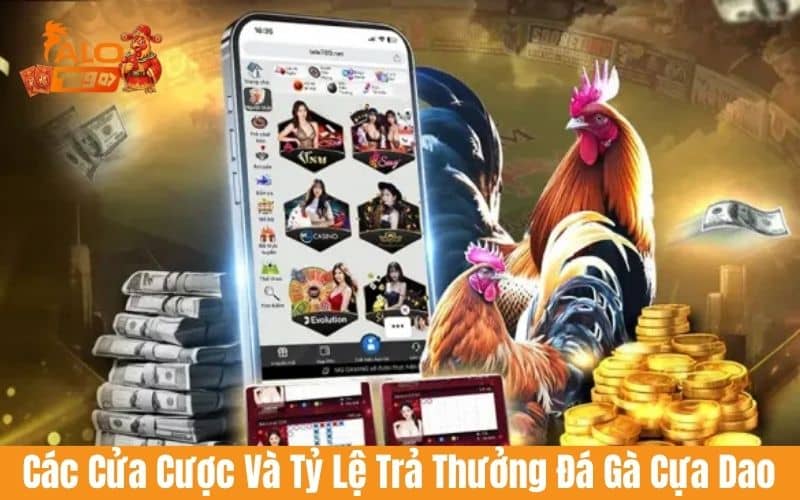 Nắm vững cửa cược và tỷ lệ cược khi tham gia cá cược đá gà cựa dao Nắm vững cửa cược và tỷ lệ cược khi tham gia cá cược đá gà cựa dao