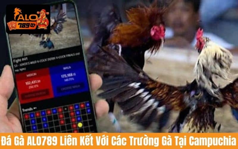 Người chơi có thể xem trực tiếp trận đá gà cựa sắt ở các trường gà danh tiếng Người chơi có thể xem trực tiếp trận đá gà cựa sắt ở các trường gà danh tiếng