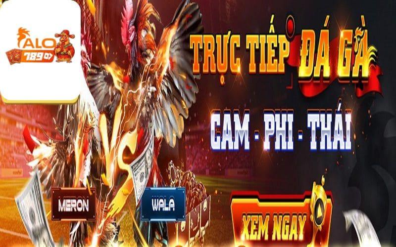 Đá gà ALO789 là sản phẩm nổi bật nhất tại ALO789 Đá gà ALO789 là sản phẩm nổi bật nhất tại ALO789
