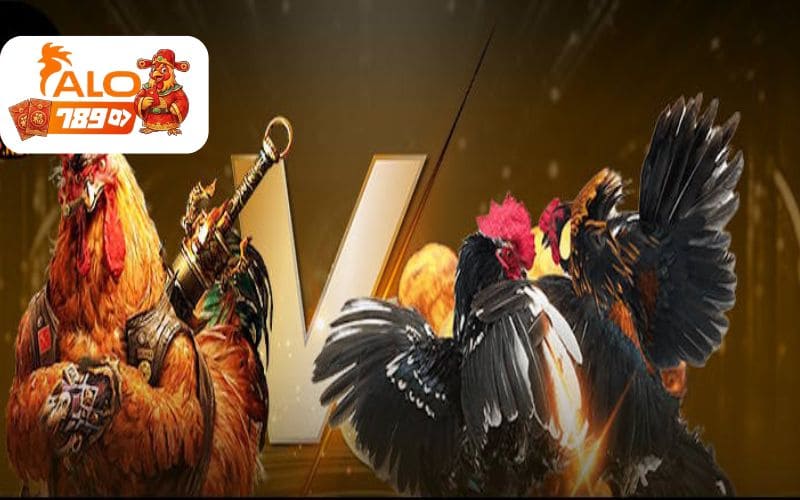Đá gà ALO789 phát sóng trực tiếp trận đấu với độ trễ cực thấp Đá gà ALO789 phát sóng trực tiếp trận đấu với độ trễ cực thấp