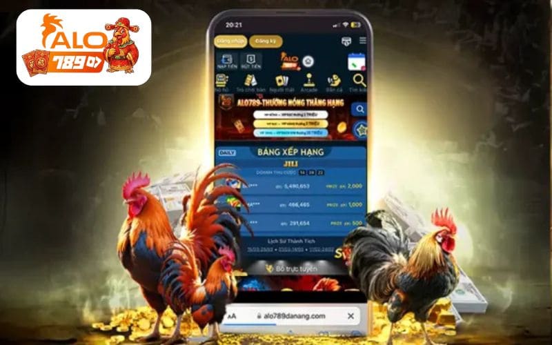 Đá gà Thomo là sản phẩm nổi bật nhất tại nhà cái ALO789 Đá gà Thomo là sản phẩm nổi bật nhất tại nhà cái ALO789